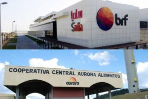 Migrasyon: Lavi Ayisyen nan peyi Brezil, ka sila yo k ap travay nan konpayi AURORA COOP ak BRF nan divès eta