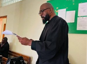 Nan kriz grav Mibalè ak Sodo ap travèse depi plizyè mwa yo, anpil sitwayen, òganizasyon ak pèsonalite ap eseye pote lide, sipò oubyen inisyativ pou ede popilasyon an retounen lakay yo.